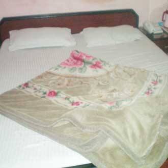 The Corner Point Guest House, New Delhi 3
